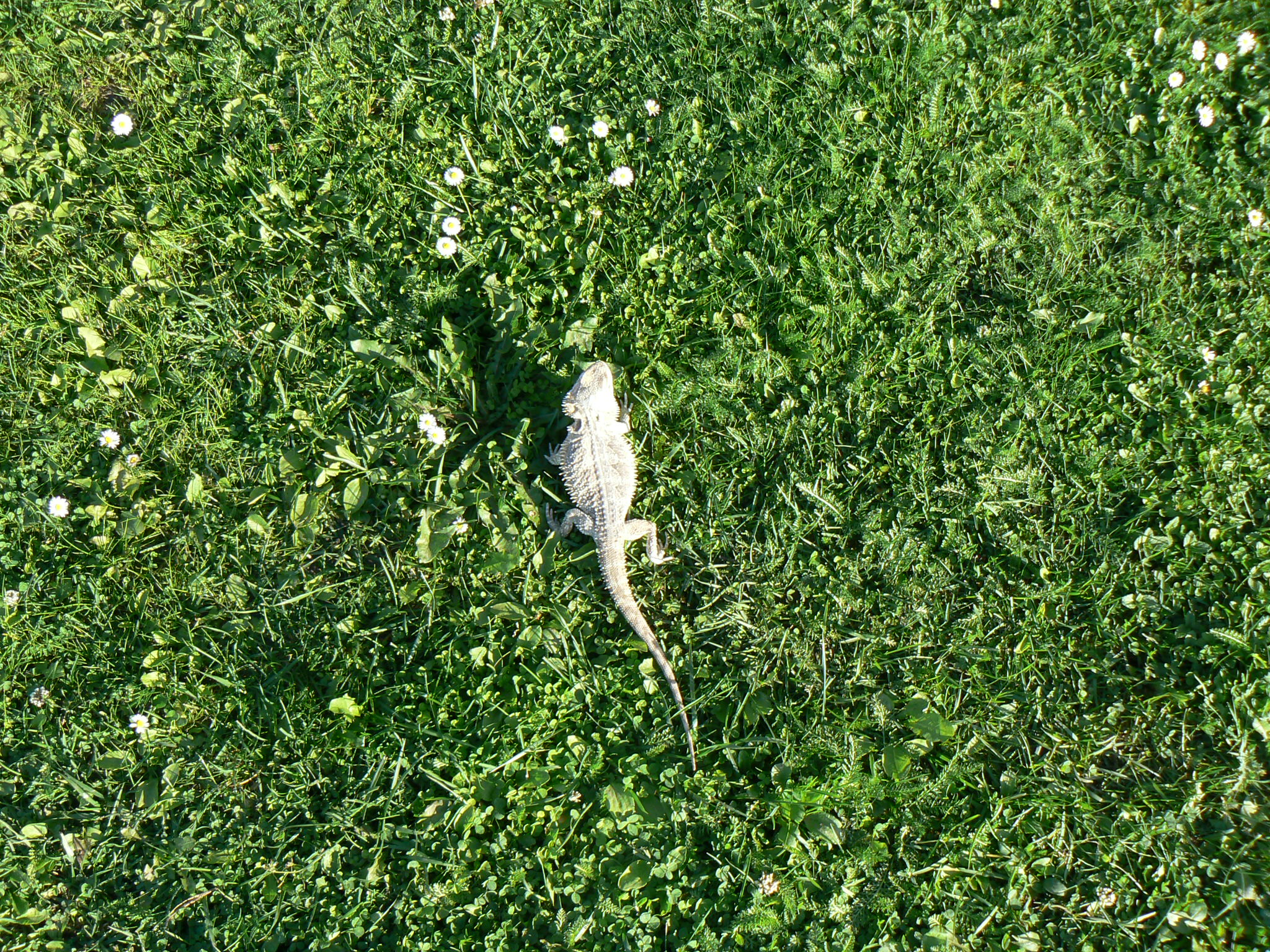 P1020418.JPG